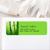 Grüner Bambus mit blassfarbenen Bokeh-Lichtern hin (Insitu)