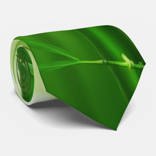 Grüner Bambus mit blassfarbenen Bokeh-Lichtern hin Krawatte (Gerollt)