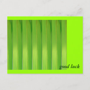 Grüner Bambus Postkarte