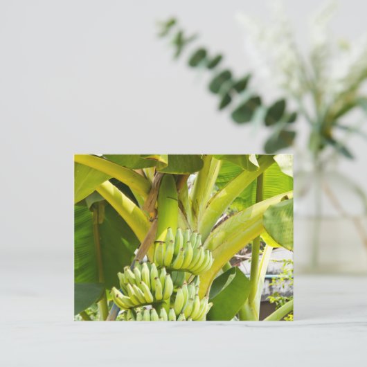 Grüner Bananenbaum Postkarte (Stehend Vorderseite)