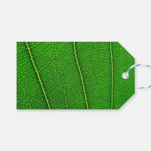 Grüner Baum Blatt Geschenkanhänger (Vorderseite (Horizontal))