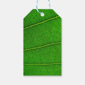 Grüner Baum Blatt Geschenkanhänger (Rückseite)
