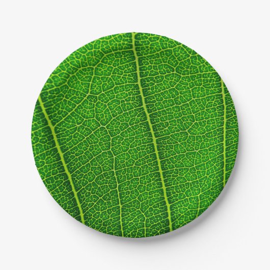 Grüner Baum Blatt Pappteller (Vorderseite)