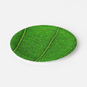 Grüner Baum Blatt Pappteller (Schrägansicht)