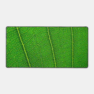 Grüner Baum Blatt Schreibtischunterlage