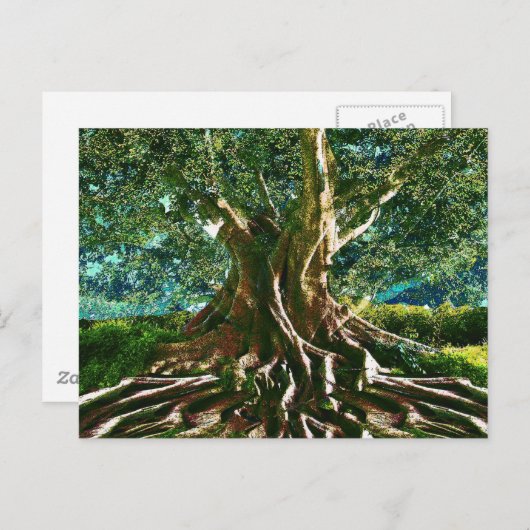 Grüner Baum des Lebens Postkarte (Vorne/Hinten)