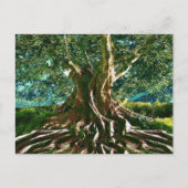 Grüner Baum des Lebens Postkarte (Vorderseite)