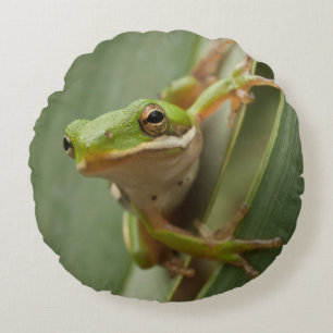 Grüner Baum-Frosch 2 versah ringsum Kissen mit
