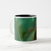 Grüner Baum-Frosch auf Iris Zweifarbige Tasse (Vorderseite Links)
