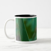 Grüner Baum-Frosch auf Iris Zweifarbige Tasse (Links)