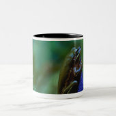 Grüner Baum-Frosch auf Iris Zweifarbige Tasse (Mittel)