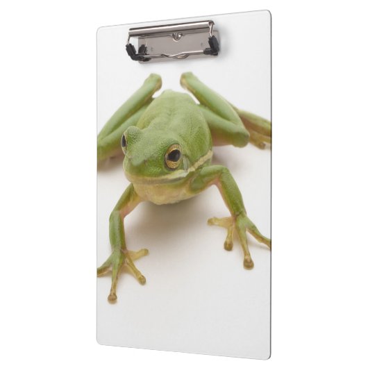 Grüner Baum-Frosch Klemmbrett (Links)