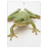 Grüner Baum-Frosch Klemmbrett (Rückseite)