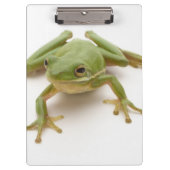 Grüner Baum-Frosch Klemmbrett (Vorderseite)