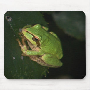 Grüner Baum-Frosch Mousepad