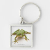 Grüner Baum-Frosch Schlüsselanhänger (Vorne)