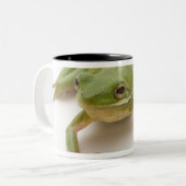 Grüner Baum-Frosch Zweifarbige Tasse (Vorderseite Links)
