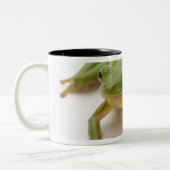 Grüner Baum-Frosch Zweifarbige Tasse (Links)