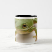 Grüner Baum-Frosch Zweifarbige Tasse (Mittel)