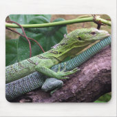 Grüner Baum-Monitor - Varanus prasinus Mousepad (Vorne)
