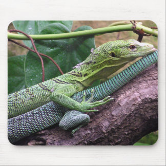 Grüner Baum-Monitor - Varanus prasinus Mousepad