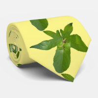 Grüner Baumfrosch auf Leaf, Nacktlee