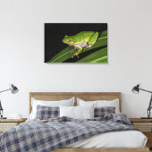 Grüner Baumfrosch (Hyla cinerea) 2 Leinwanddruck (Insitu (Schlafzimmer))