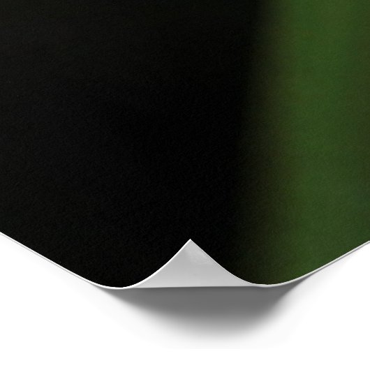 Grüner Baumfrosch (Hyla cinerea) 2 Poster (Ecke)