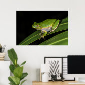 Grüner Baumfrosch (Hyla cinerea) 2 Poster (Heimbüro)