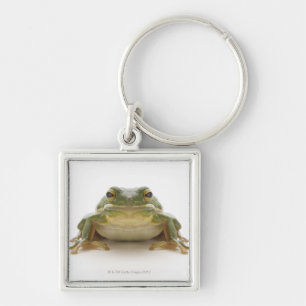 Grüner Baumfrosch (Hylidae cinerea) Schlüsselanhänger