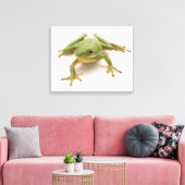 Grüner Baumfrosch Leinwanddruck (Insitu (Wohnzimmer))