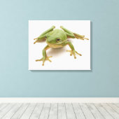 Grüner Baumfrosch Leinwanddruck (Insitu (Holzboden))