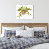 Grüner Baumfrosch Leinwanddruck (Insitu (Schlafzimmer))