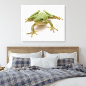 Grüner Baumfrosch Leinwanddruck (Insitu (Schlafzimmer))