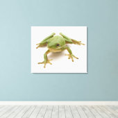 Grüner Baumfrosch Leinwanddruck (Insitu (Holzboden))