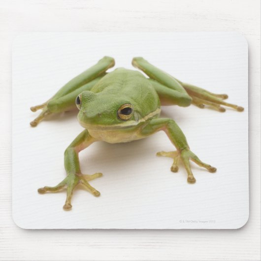 Grüner Baumfrosch Mousepad (Vorne)