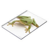 Grüner Baumfrosch Notizblock (Linke Seite)