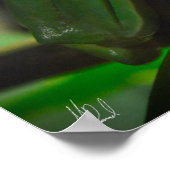 Grüner Baumfrosch Poster (Ecke)