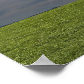 grüner Bereich, blauer Himmel, weiße Wolke Poster (Ecke)