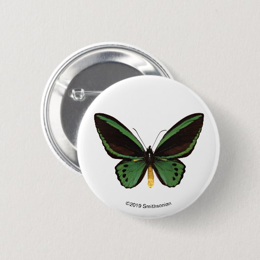 Grüner Birdwing Schmetterling Button (Vorne & Hinten)