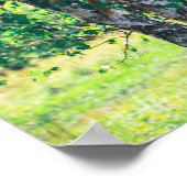 Grüner Birkenbaum Verlasse Natur Poster (Ecke)