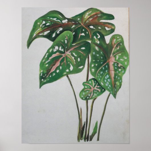 Grüner Blatt Botanischer Wandkunst Druck Poster (Vorne)