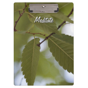 grüner Blatt meditieren Naturgarten Zweig Foto  Klemmbrett