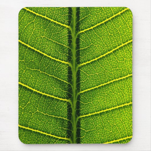 Grüner Blatt Mousepad (Vorne)