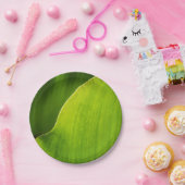 grüner Blatt Pappteller (Party)