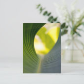 Grüner Blatt Postkarte (Stehend Vorderseite)