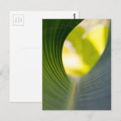 Grüner Blatt Postkarte (Vorne/Hinten)