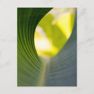 Grüner Blatt Postkarte