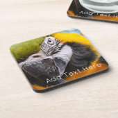 Grüner, blauer und gelber Papagei Getränkeuntersetzer (Linke Seite)