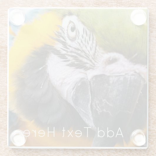 Grüner, blauer und gelber Papagei Glasuntersetzer (Rückseite)